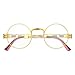 Yvey Vintage Round Steampunk Glasses for Mens and Womens Circle Lennon Hippie Style Eyeglasses (Gold Frame/Transparent Lens)