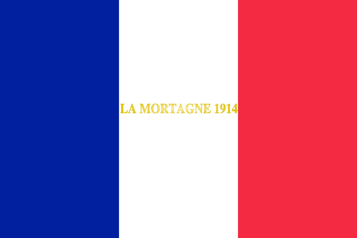 Drapeau Large 223e régiment d infanterie de l armée pour commémoration