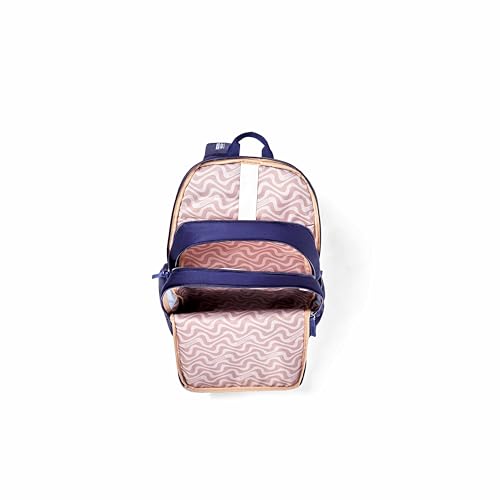 Image of American Tourister Bridget | 20 Ltrs | 3 Compartments | Bottle Pocket | Ergonomic Padded Back Panel & Shoulder Straps | Laptop Backpack | 1 Year International Warranty | Navy
