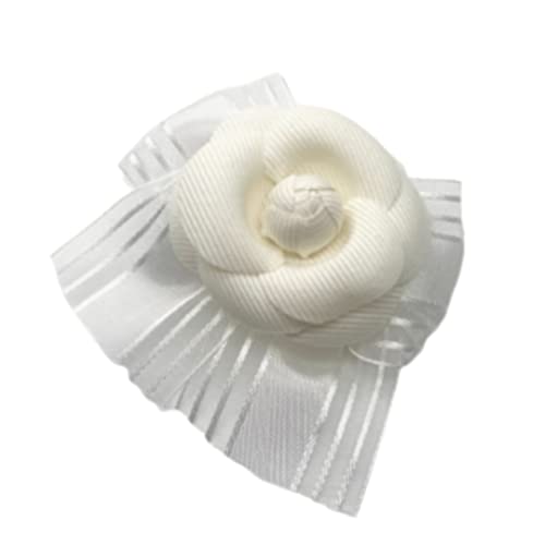 [ XEB[gLX ] JA { RT[W Nbv (zCg) w   Ǝ tH[} 