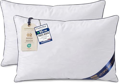 Utopia Bedding Coussin 30x50 cm Lot de 2, Coussins de Garnissage, Canapé Oreillers, Rembourrage Coussins, Intérieur Coussin Salon (Blanc)