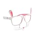 Rabbit Sunglasses
