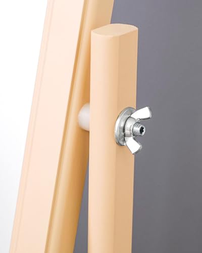 M4 Flügelmuttern 10 Stück, Caianwin DIN 315 Flügelmutter A2 V2A Edelstahl Schmetterlingsmutter, Metrische Rostfreie Wing Nut für Möbel Ausstattung DIY