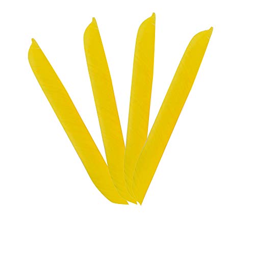 MILAEM 50 Pcs Spiral Wrap Arrow Feather Full Length Turkey Feather Flu Flu Arrows Turkey Feather 7~11  Right Wing (Yellow)