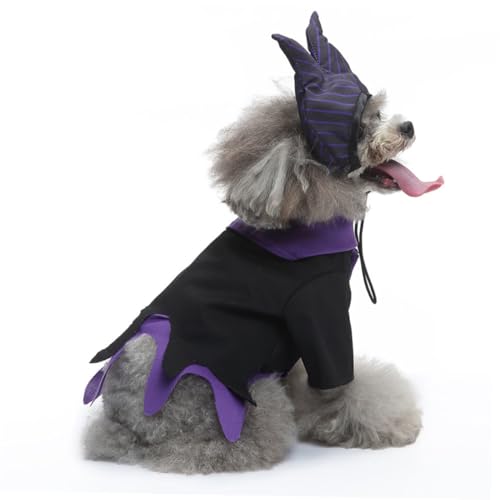 Disfraz Halloween para Perro Tamaño L, Sombrero Bruja miniatura 6