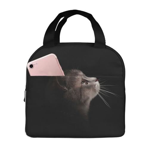 `obN L ۗ ٓobO  RpNg ^ѕ֗ p肳obO ~jg[gobO ʋ ʍZ s