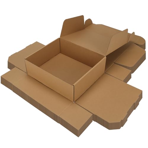 Serwrsw 12x10x4 inch Shipping Boxes