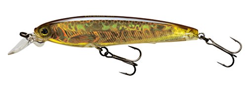 Best Mackerel Lures