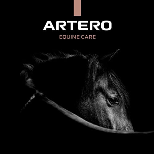 Artero Angel Whitening-Shampoo, 1 l, entfernt Flecken und hebt Weiß mit intensivem Glanz hervor.
