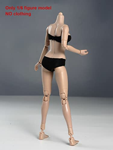 Roofworld 1/6 Scale Miniature Figure Body, 12Inch Pale Skin Super Flexible Joint Body Half-Pack Silicone Huge Bust Action Figure Body Doll Collection For 1:6 Head Sculpt #TOP2