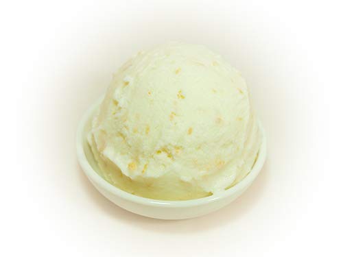 業務用イタリアンジェラート・ココナッツミルク 4L