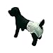Croci Dog Nappy Windelhöschen für weibliche Hunde, Größe S, hygienische Windel für Zyklus und Pfeifen, geruchshemmend, Einwegwindel, verstellbarer Klebeverschluss, 14 Stück