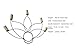 Lotus Pair of Handmade Fire Fans for Dance & Performance - Professional Sturdy with Kevlar Wicks, Durable Steel Frame & Powder Coating, Ideal for Fire Shows & Festivals