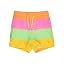 Neon Citrus Color Block