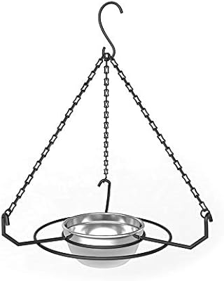 Glass Daisy Birdbath 8 In G290f Aqua Transparent Wild Bird Feeder