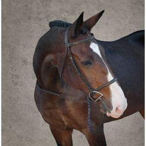 Suffolk by Dover Saddlery Single Crown Hunter Bridle