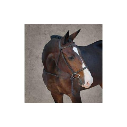 Suffolk by Dover Saddlery Single Crown Hunter Bridle - Brown, Pony-P/S Cover