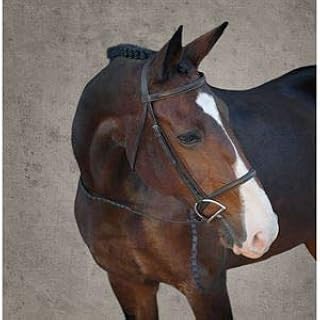 Suffolk by Dover Saddlery Single Crown Hunter Bridle - Brown, Cob-C/S - Buy now