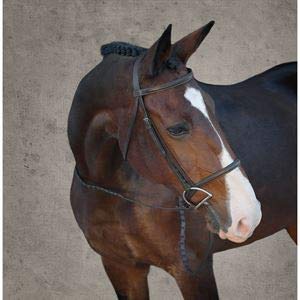 Suffolk by Dover Saddlery Single Crown Hunter Bridle - Brown, Cob-C/S