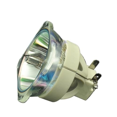 Ampoule de remplacement RLC-076 pour vidéoprojecteur PRO8600 et PRO8520HD