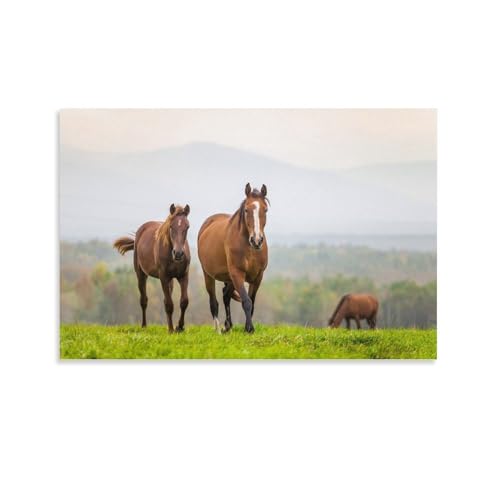 n A[gG i|X^[ (28) vg _ EH[A[g  f炵Mtg Ɋ|܂16x24inch(40x60cm)