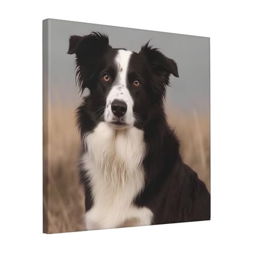 Toile Border Collie moderne 40x40 cm pour salon et bureau