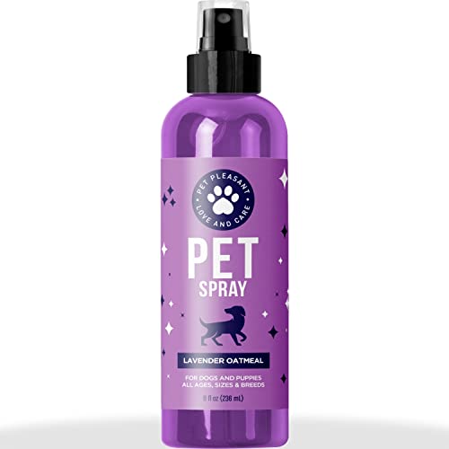 pet undercoat brush