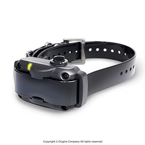 Dogtra Ys600 Rechargeable Waterproof High-Output No Bark Collar #TOP5