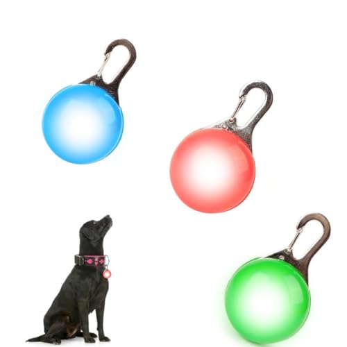 How to stop puppy pooping at night How to stop puppy pooping at night