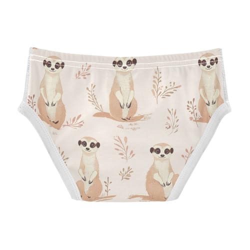Wusikd Meerkats Boys' Underwear Cotton Cute Boys Briefs Soft Toddler Underwear 2T2