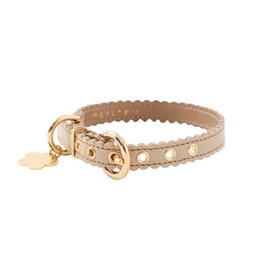 moncheri VF [Ȃ݂Ȃ݃t[`[U[J[]   ^ ^ (S/x[W) {v y TCY\ U[ U o