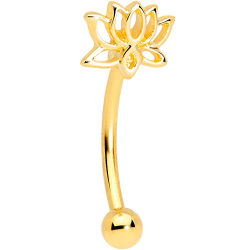 Body Candy Womens 16G Anodized Steel Eyebrow Jewelry Tragus Daith Conch Rook Lotus Flower Eyebrow Ring 10mm