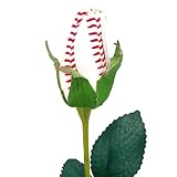 Baseball Rose