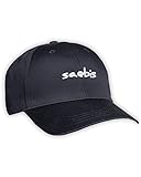 SAEBIS