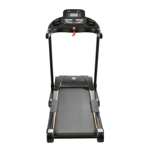 Esteira Ergométrica Elétrica Gallant Elite Pro 3.0hp 16km/H 120kg 220v (Gee12e30a-220pt)