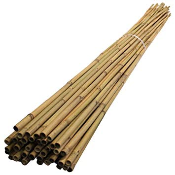 A2Z Home Solutions Durable Bamboo Cane Garden Stakes 4Ft (121cm) x 14mm Plant Stakes Sticks Sturdy Plant Support - 10 Pack