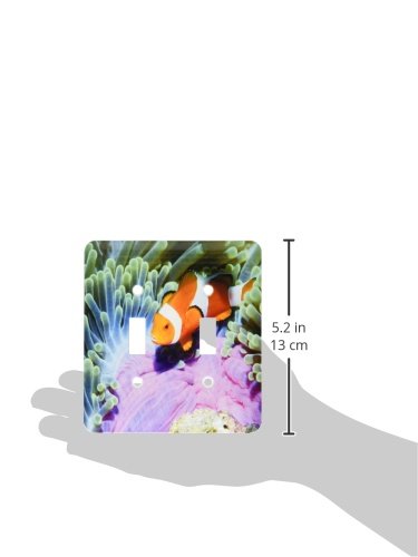 Placa de interruptor de payaso de colores 3dRose lsp_80255_2 para pared infantil 3