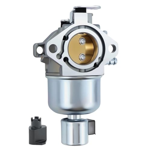 Kit de carburateur pour BS 791889 698782 693194 49915 28N707-0612-A1 autoportée