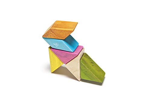 Image of 6 Piece Tegu Pocket Pouch Prism Magnetic Wooden Block Set, Tints