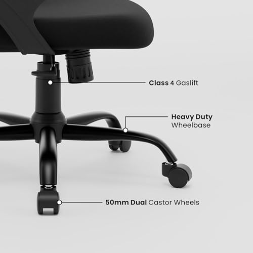 Image of Align Cherry Orthopedic Ergonomic Office Mesh Chair with Lumbar Support, Comfortable Cushioned Seat, Adjustable Height, Revolving Design, Tilt Lock, Heavy Duty Metal Base, 3 Years Warranty (Black)