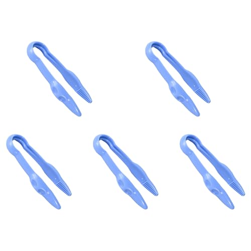 q̋Nbv̋lߍ킹 5 ZbgƖڂ̒𑣐iAwZł̊ywK𑣐i܂Ɩڂ̒c[