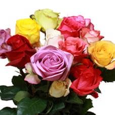 Rosa Rainbow Elite 50cm : offrez un bouquet de 25 roses magiques pour un anniversaire