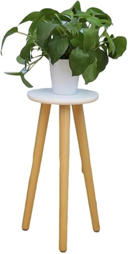 SLLS ؐAؔX^h tAvgX^h C R[q[e[u vgbN At[X^h AEghAp AfBXvCbN ~͒I zCg