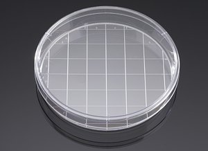 Corning - Falcon 150 mm Cell Cult Dish w/20mm Grid, TC-TRE Ated, Str, CS100