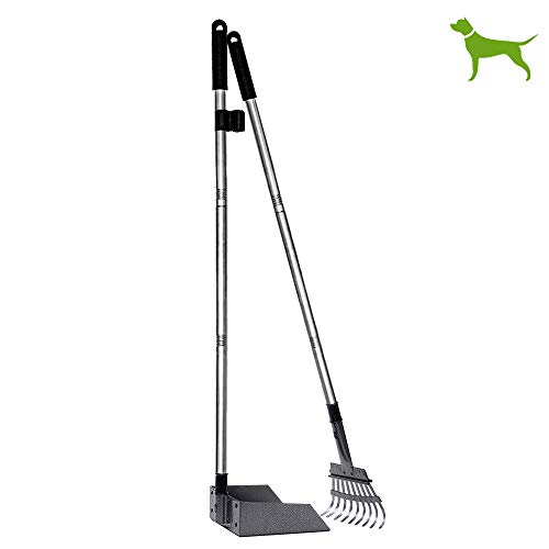 Best poop scooper with long handle for 2022 Sideror Reviews