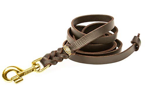Hundeleine Leder 2m kleine Hunde – Fettlederleine [ohne Handschlaufe] Lederleine Hund geflochten leicht – Führleine & Trainingsleine aus robustem Rindsleder, Messingkarabiner, Dog Leash 10mm, Braun
