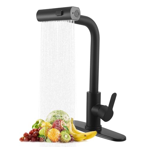 Rubinetto Cucina con Doccetta Estraibile, Rubinetto Lavello Cucina in Acciaio Inox Miscelatore per...