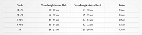 HUNTER AALBORG Hundegeschirr, Leder, S-M/1, cognac