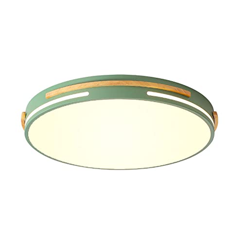 Plafonnier LED design créatif vert 24W suspendu d'élégance nordique
