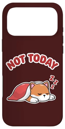 Not Today 킢 QĂ X}zP[X iPhone 17 Pro Max p